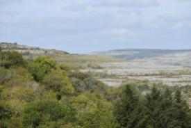 A view of the Burren.