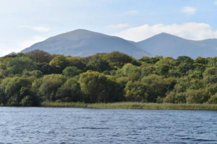 A view from our waterbus tour on the Lakes of Killarney.